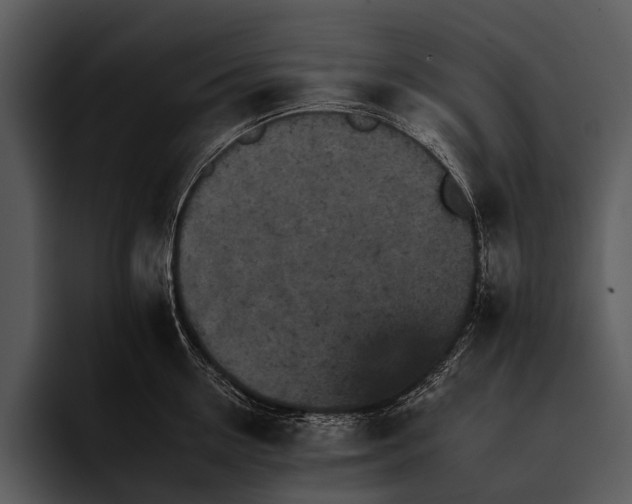 X0000095670954200801291134