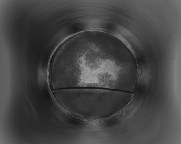 X0000095670955200801291134