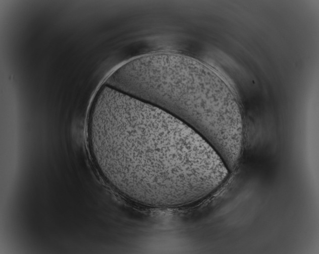 X0000095670956200801291134