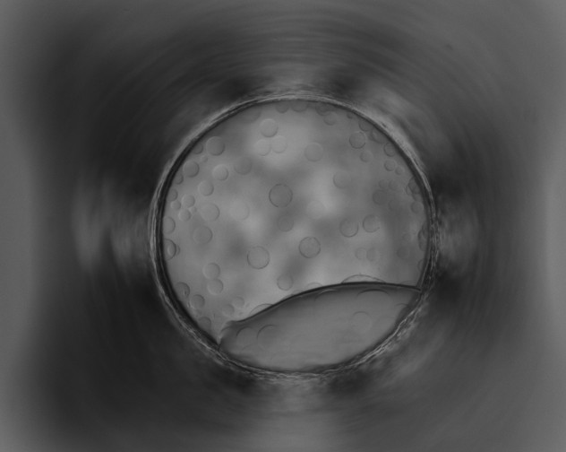 X0000095670957200801291134