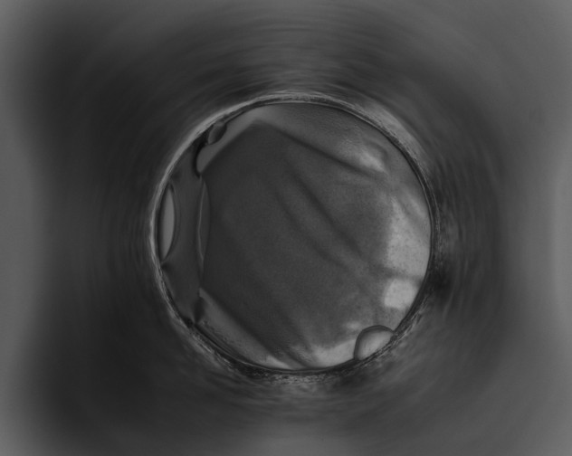 X0000095670958200801291134