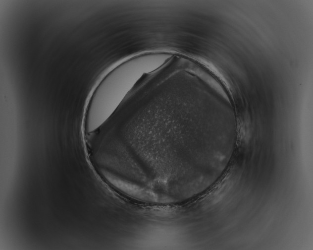 X0000095670959200801291134