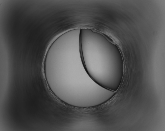 X0000095670960200801291134