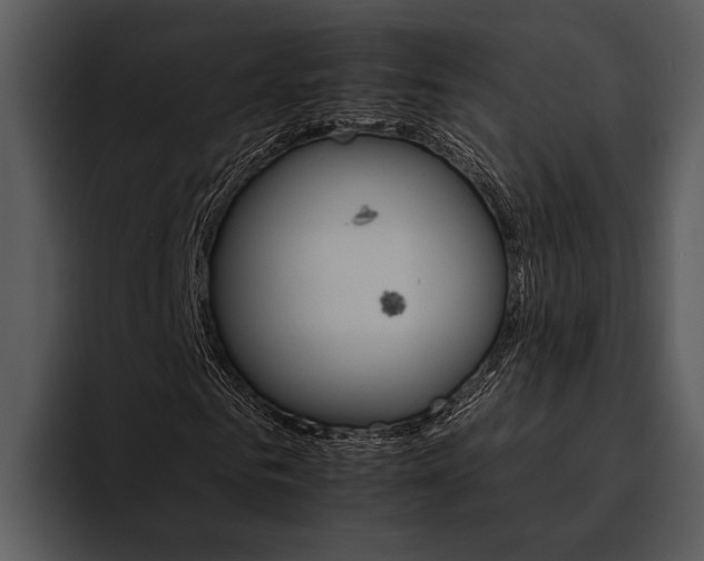 X0000095670961200801291133