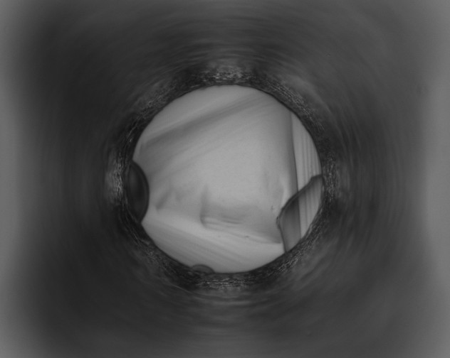 X0000095670962200801291133