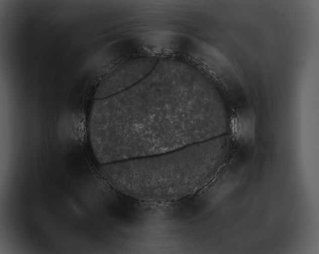 X0000095670963200801291133