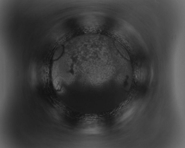 X0000095670964200801291133