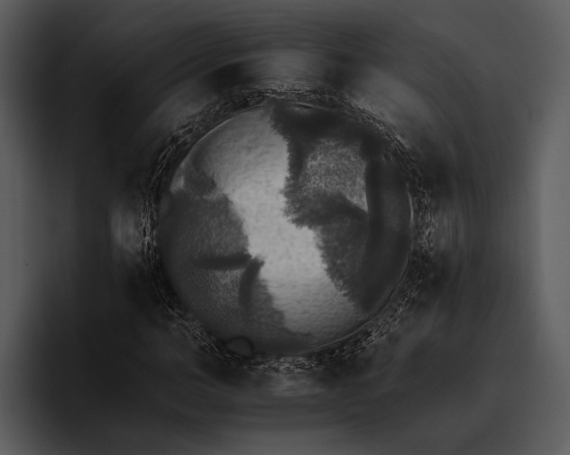 X0000095670966200801291133