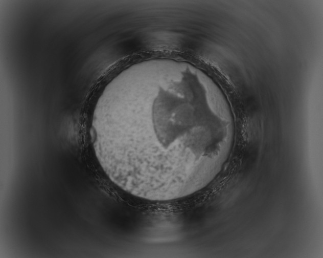 X0000095670968200801291133