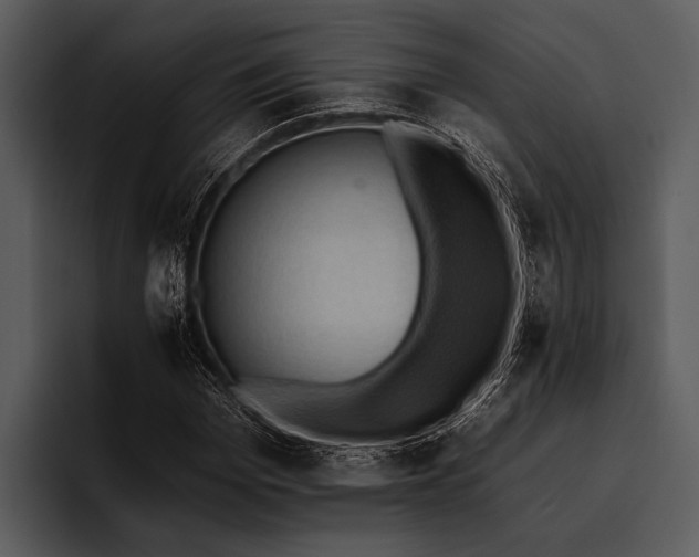 X0000095670969200801291133