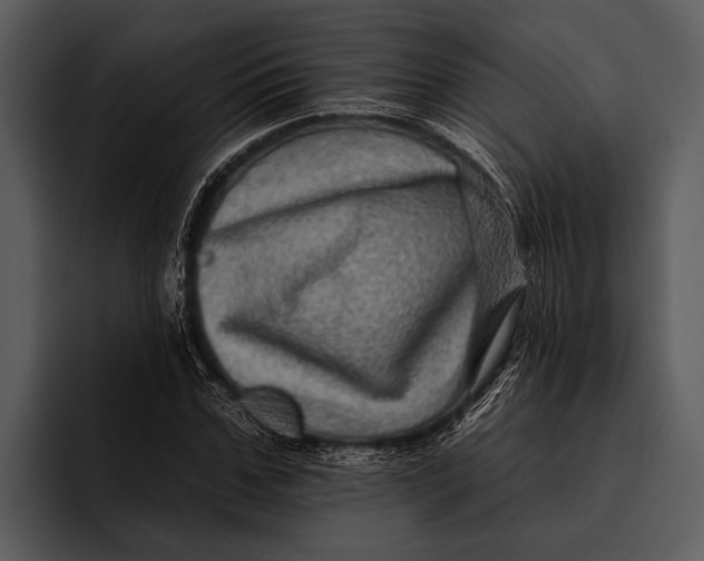 X0000095670971200801291133