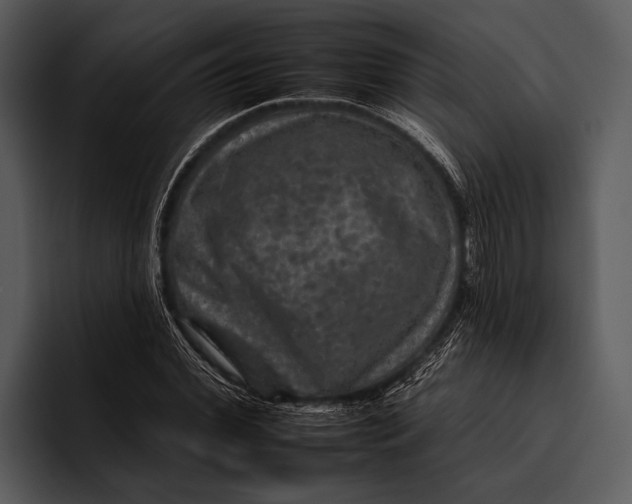 X0000095670972200801291133