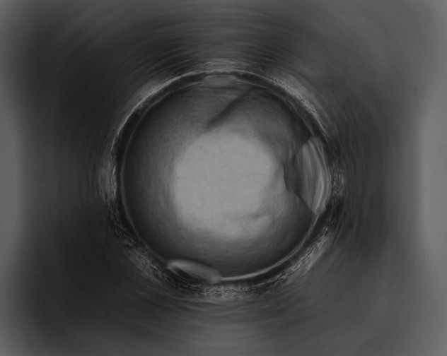 X0000095670973200801291133