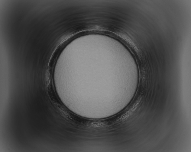 X0000095670974200801291133