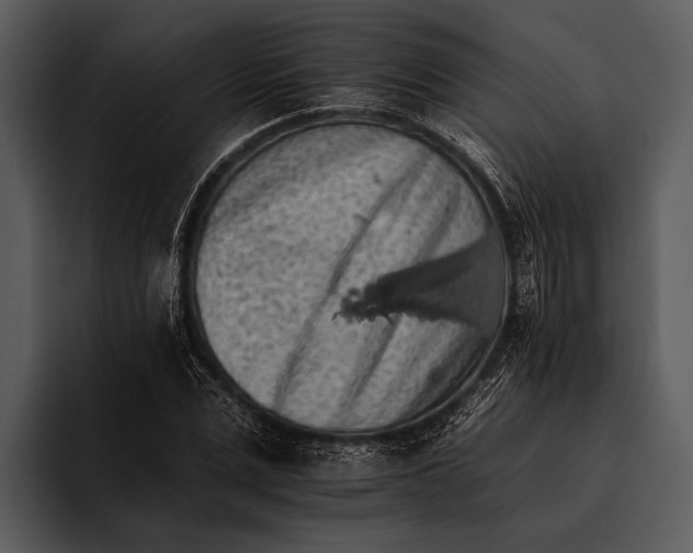 X0000095670975200801291133