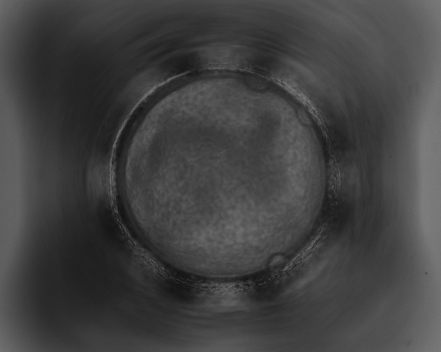 X0000095670976200801291133