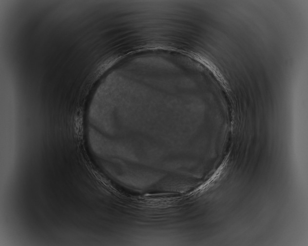 X0000095670977200801291133