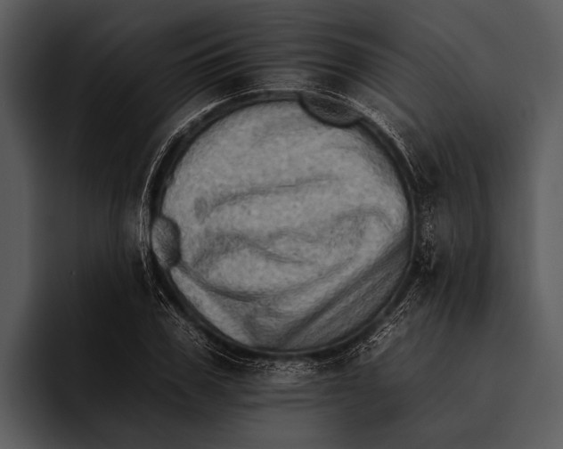 X0000095670979200801291133