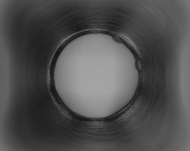 X0000095670980200801291133