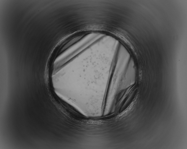 X0000095670981200801291133