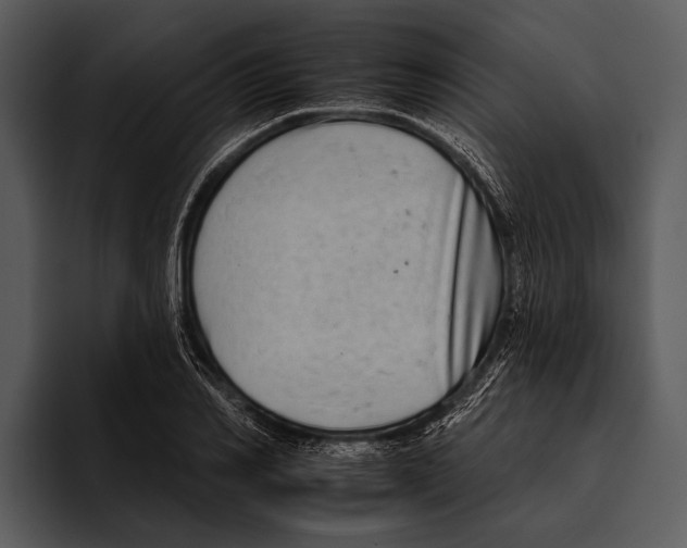 X0000095670982200801291133