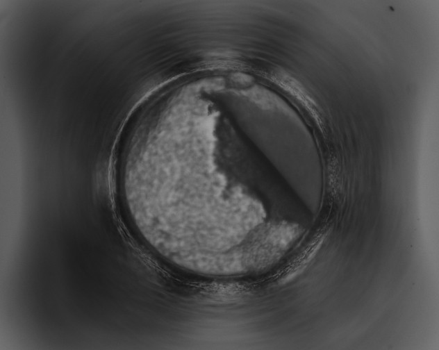 X0000095670983200801291133