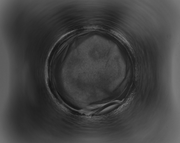 X0000095670984200801291133