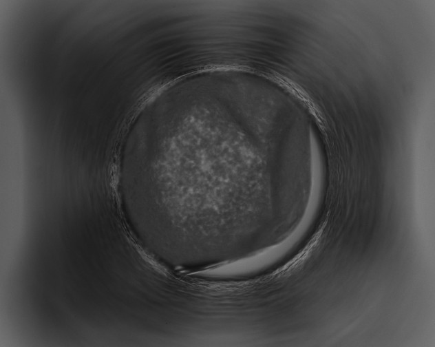 X0000095670985200801291133