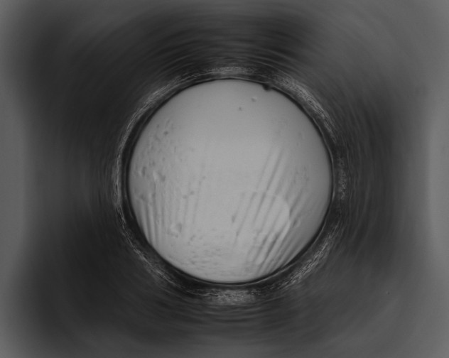 X0000095670986200801291133