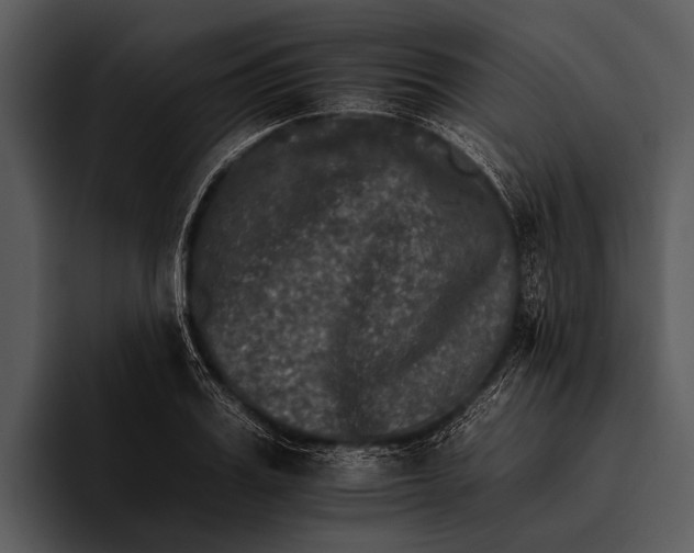 X0000095670987200801291133