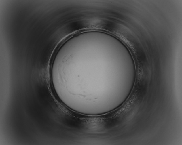 X0000095670988200801291133