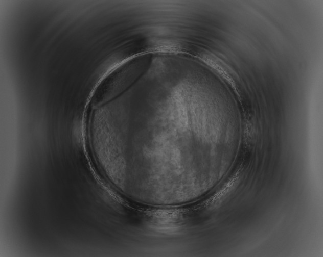 X0000095670989200801291133