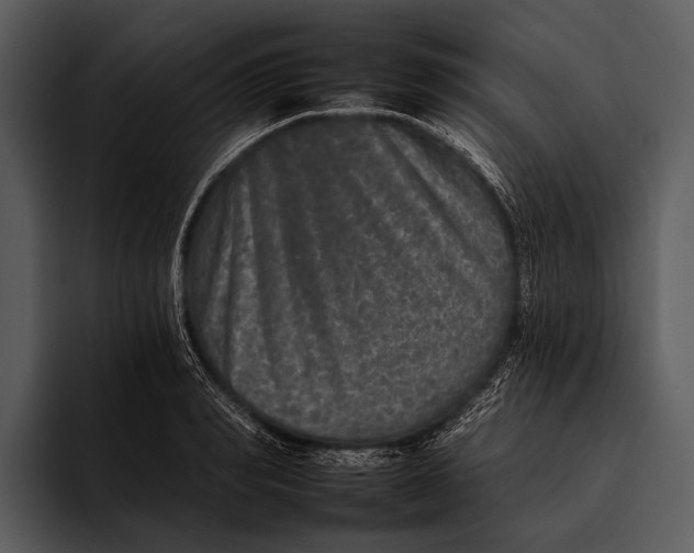 X0000095670990200801291133