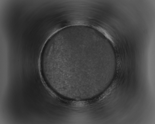 X0000095670991200801291133