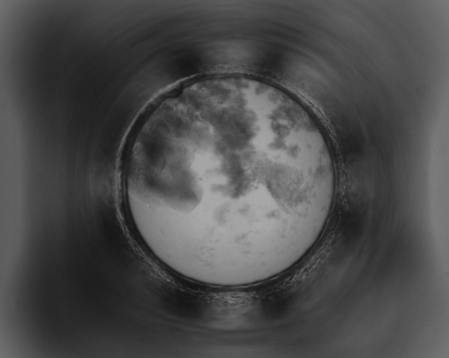 X0000095670992200801291133