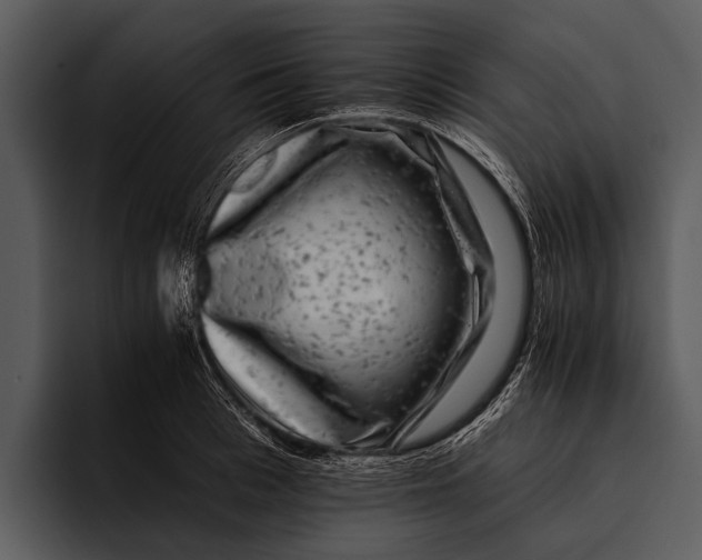 X0000095670993200801291133