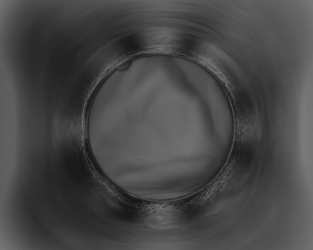 X0000095670994200801291133