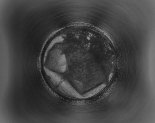 X0000095670995200801291133