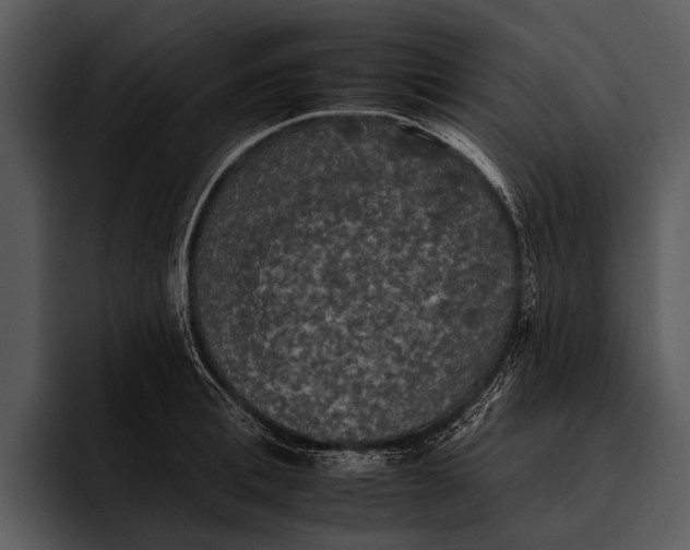 X0000095670996200801291133