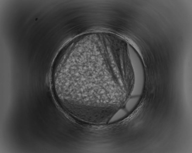 X0000095670997200801291133