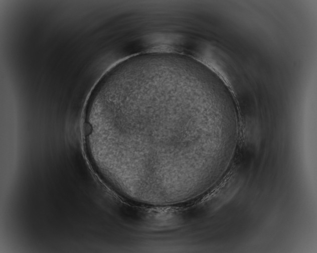 X0000095671000200801291133