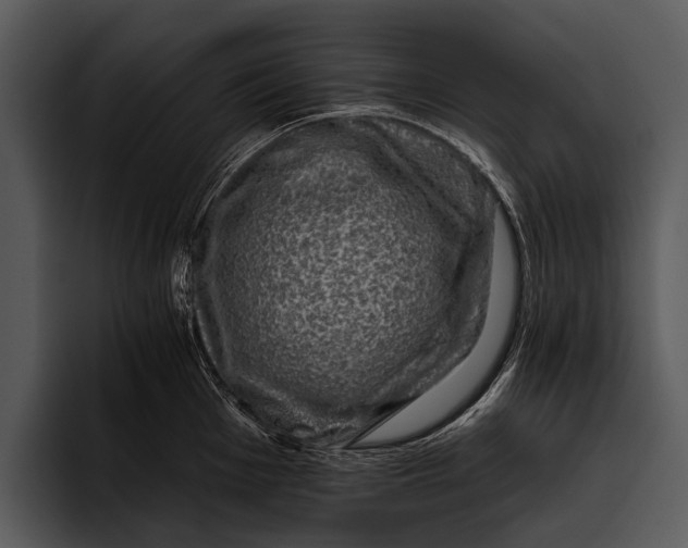 X0000095671001200801291133