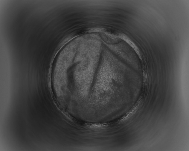 X0000095671002200801291133