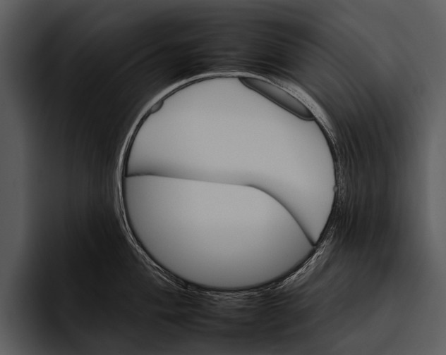 X0000095671004200801291133