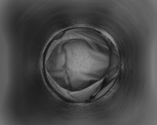 X0000095671005200801291133