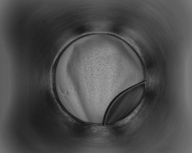 X0000095671006200801291133