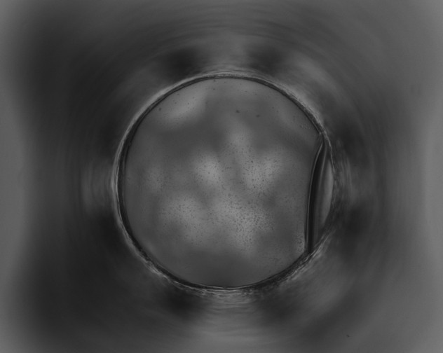 X0000095671007200801291133