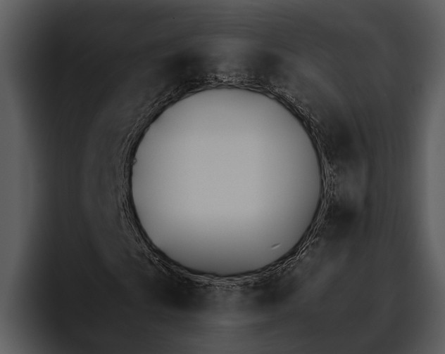 X0000095671009200801291132