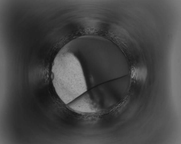 X0000095671011200801291132