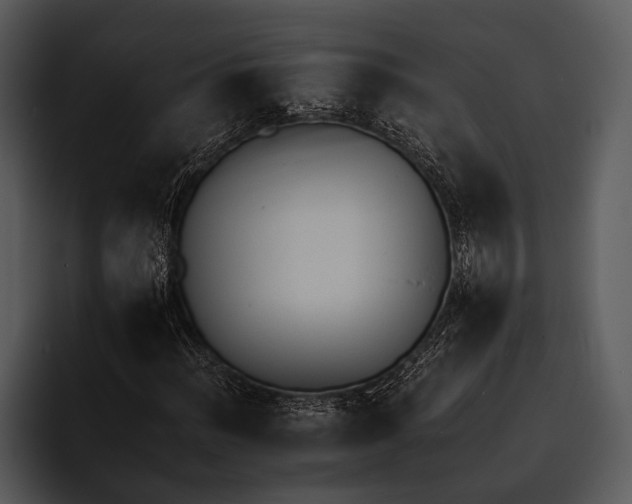 X0000095671012200801291132